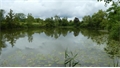 Image du bien UBI453228560